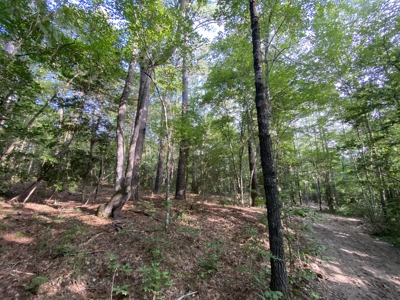 Private Hunting Land in Marion County - image 16
