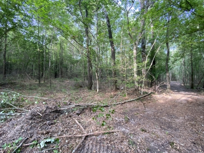 Private Hunting Land in Marion County - image 20