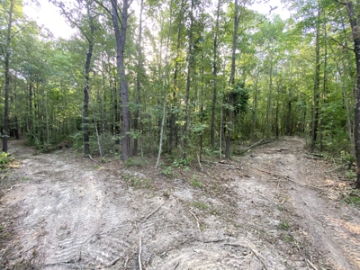 Private Hunting Land in Marion County - image 6