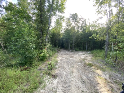 Private Hunting Land in Marion County - image 3