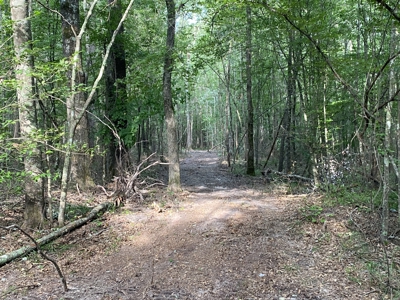 Private Hunting Land in Marion County - image 19