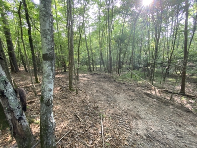 Private Hunting Land in Marion County - image 18