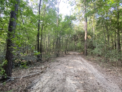Private Hunting Land in Marion County - image 8