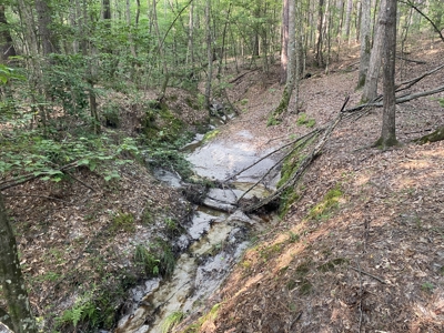 Private Hunting Land in Marion County - image 12