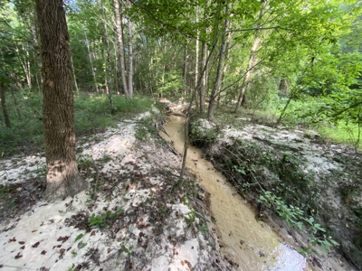 Private Hunting Land in Marion County - image 23