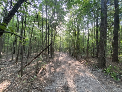 Private Hunting Land in Marion County - image 10