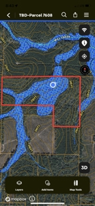 Private Hunting Land in Marion County - image 22