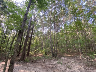 Private Hunting Land in Marion County - image 9
