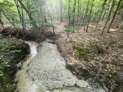 Private Hunting Land in Marion County - image 14