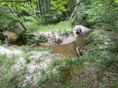 Private Hunting Land in Marion County - image 27