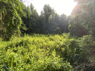 Private Hunting Land in Marion County - image 21