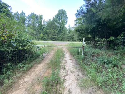 Private Hunting Land in Marion County - image 2