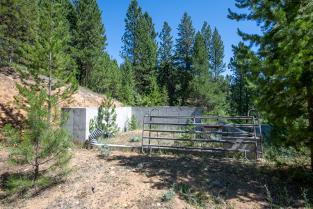 Country Home with Acreage in Western Montana - image 29