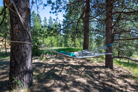 Country Home with Acreage in Western Montana - image 9