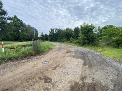 Elysian Fields ISD Timber Tract with Homesites for Sale - image 2