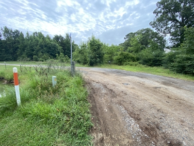 Elysian Fields ISD Timber Tract with Homesites for Sale - image 1