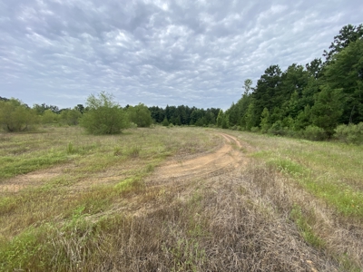 Elysian Fields ISD Timber Tract with Homesites for Sale - image 24