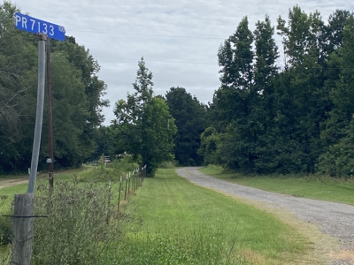 Elysian Fields ISD Timber Tract with Homesites for Sale - image 3