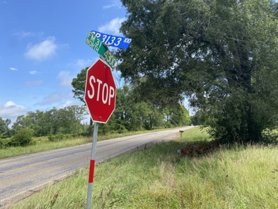 Elysian Fields ISD Timber Tract with Homesites for Sale - image 32