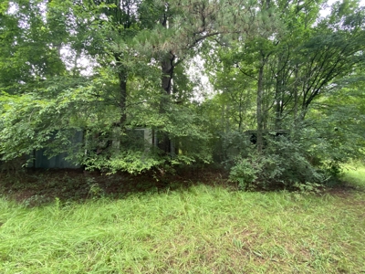 Elysian Fields ISD Timber Tract with Homesites for Sale - image 6