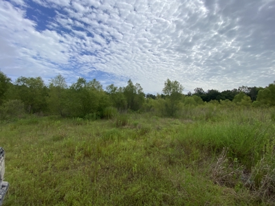 Elysian Fields ISD Timber Tract with Homesites for Sale - image 21