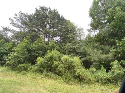 Elysian Fields ISD Timber Tract with Homesites for Sale - image 9