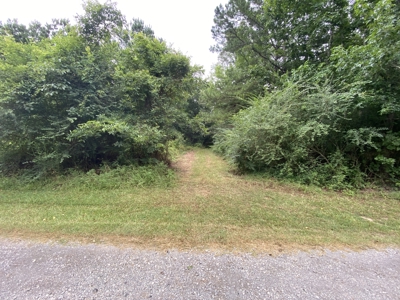 Elysian Fields ISD Timber Tract with Homesites for Sale - image 4