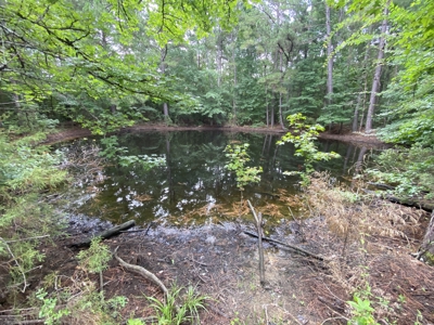 Elysian Fields ISD Timber Tract with Homesites for Sale - image 15