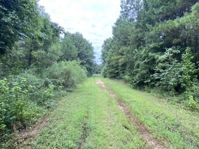 Elysian Fields ISD Timber Tract with Homesites for Sale - image 25