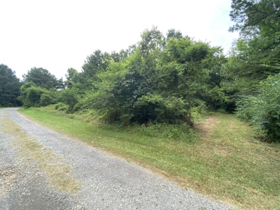 Elysian Fields ISD Timber Tract with Homesites for Sale - image 5