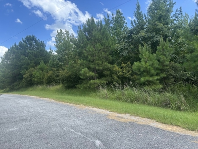 5 Acres with Alabama River Deeded Access in Gated Legacy Shores - image 7