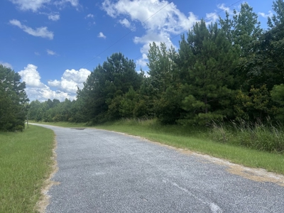 5 Acres with Alabama River Deeded Access in Gated Legacy Shores - image 6