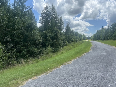 5 Acres with Alabama River Deeded Access in Gated Legacy Shores - image 10