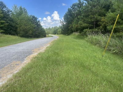 5 Acres with Alabama River Deeded Access in Gated Legacy Shores - image 8