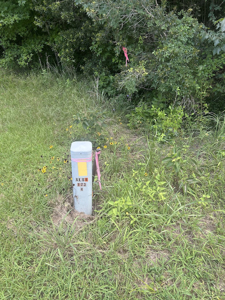 5 Acres with Alabama River Deeded Access in Gated Legacy Shores - image 12