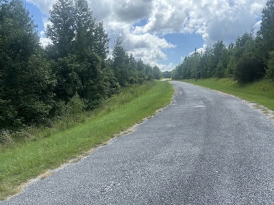 5 Acres with Alabama River Deeded Access in Gated Legacy Shores - image 11