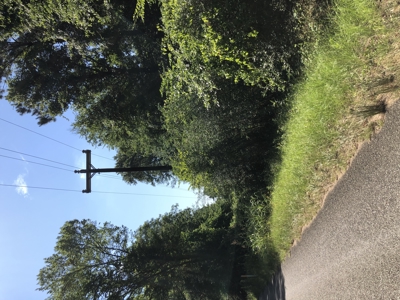 East Texas Hunting/Recreational Land For Sale - image 21