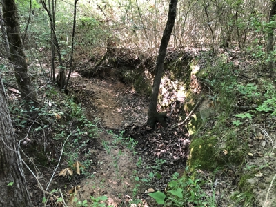 East Texas Hunting/Recreational Land For Sale - image 9