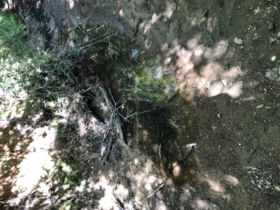 East Texas Hunting/Recreational Land For Sale - image 15