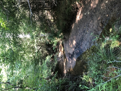 East Texas Hunting/Recreational Land For Sale - image 17