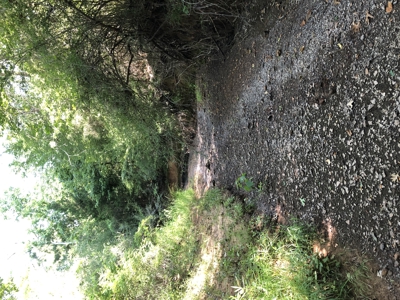 East Texas Hunting/Recreational Land For Sale - image 16