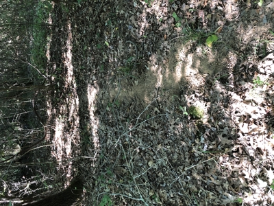 East Texas Hunting/Recreational Land For Sale - image 11