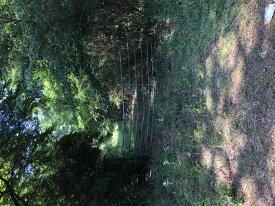 East Texas Hunting/Recreational Land For Sale - image 23