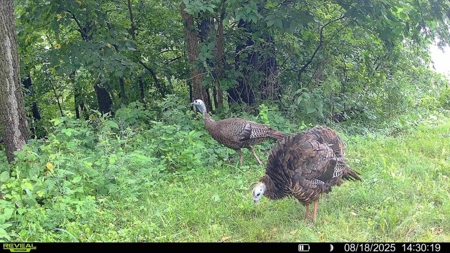 Scenic Point Bluff-Top Retreat with Mississippi River Views - image 47