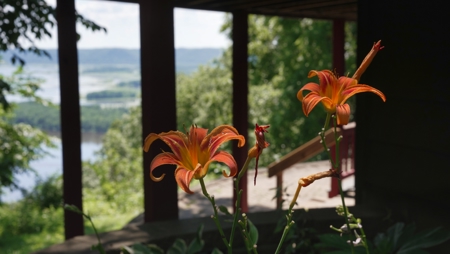 Scenic Point Bluff-Top Retreat with Mississippi River Views - image 34