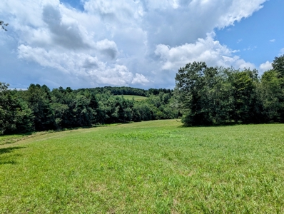 Country Home for Sale in Willis VA - image 24