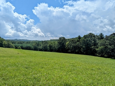 Country Home for Sale in Willis VA - image 29