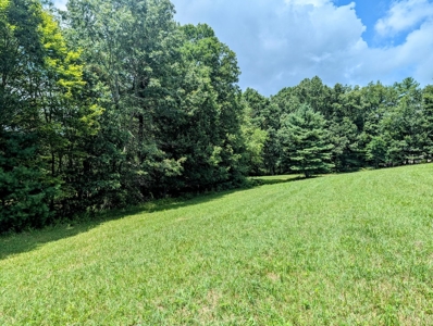 Country Home for Sale in Willis VA - image 27