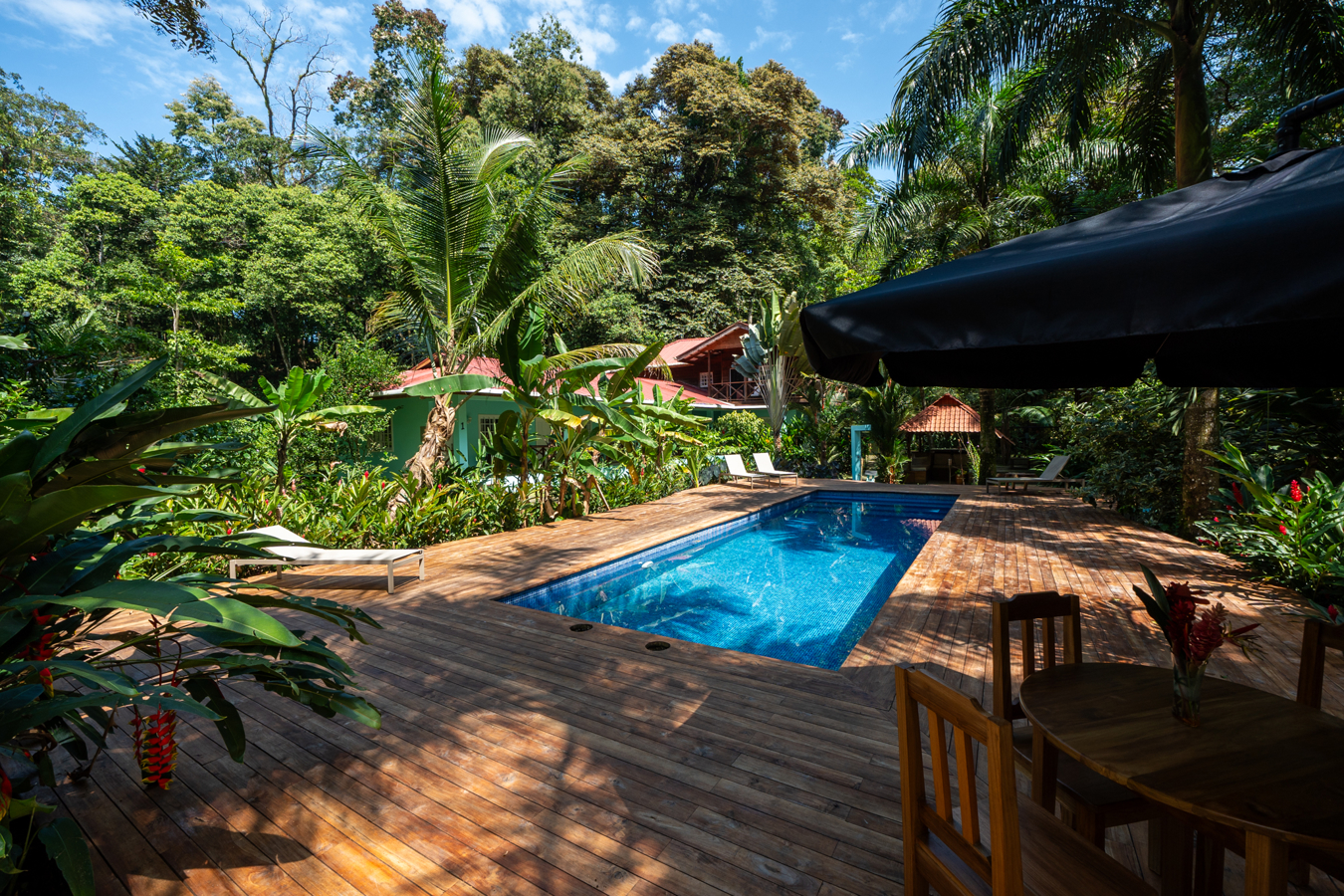 Epic B&B with Pool & Skate Bowl — Big Creek, Isla Colón - 2