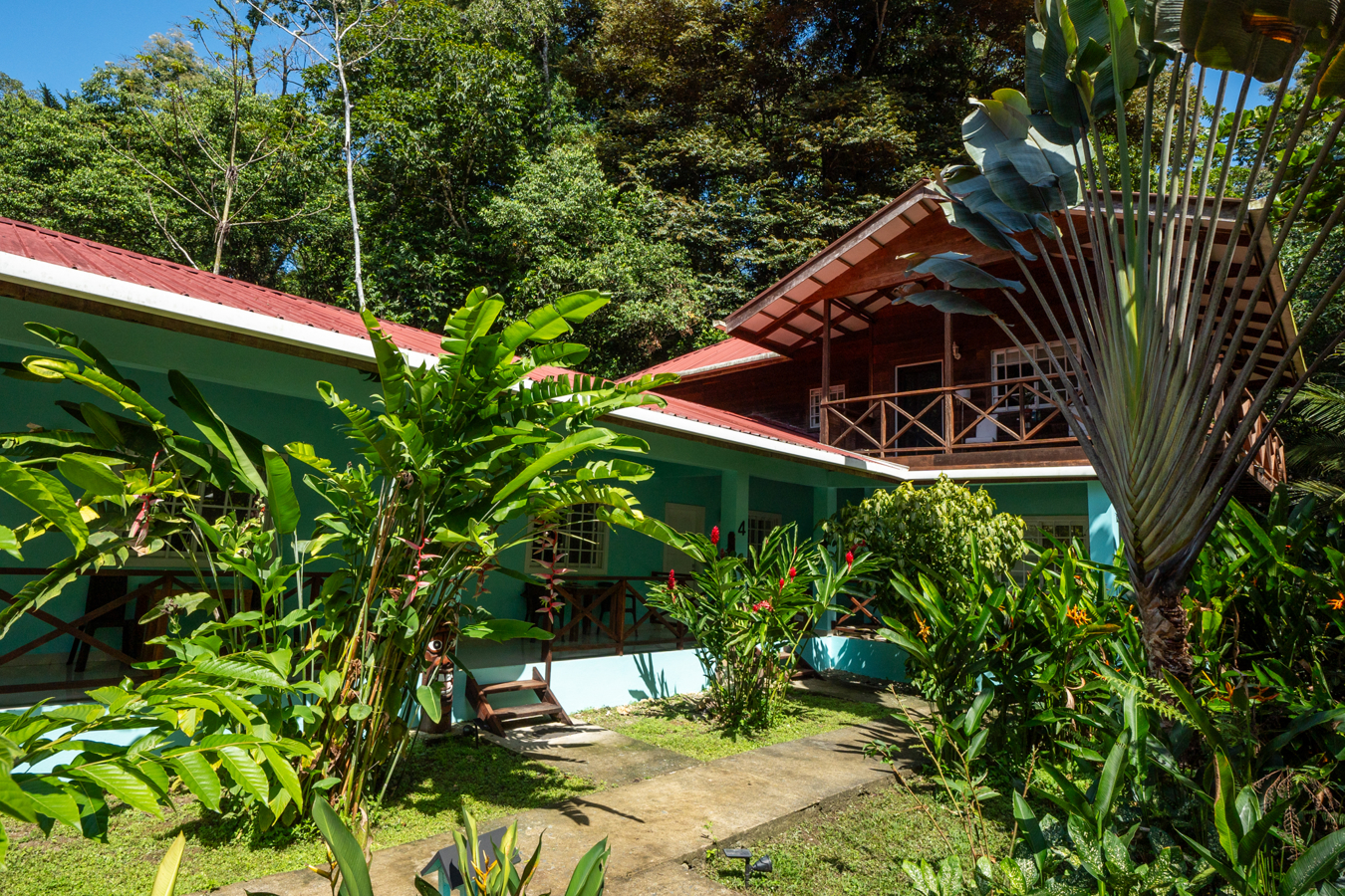 Epic B&B with Pool & Skate Bowl — Big Creek, Isla Colón - 6